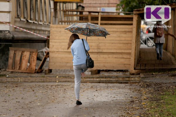 Погода в Коми 20 июля: на смену жаре придут дожди и грозы