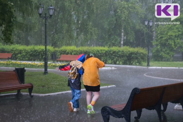 Погода в Коми 25 июля: дождь, гроза и +23°С