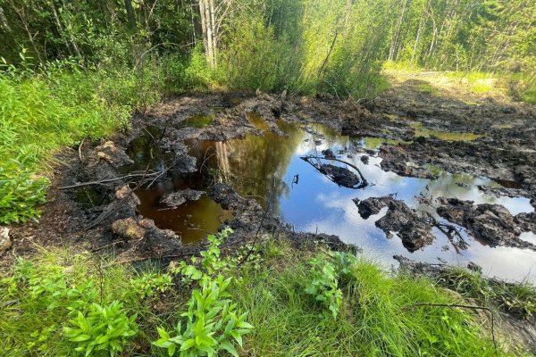 На территории Нижнеомринского газонефтяного месторождения произошла утечка нефтепродуктов