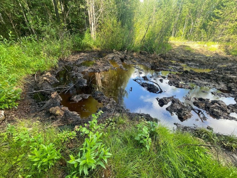 На территории Нижнеомринского газонефтяного месторождения произошла утечка нефтепродуктов