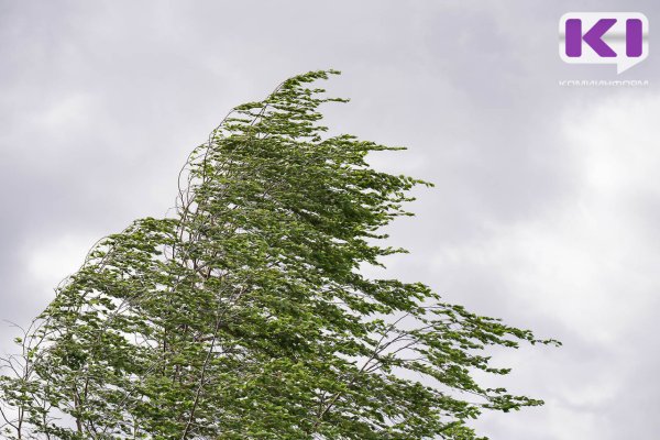 Погода в Коми 5 августа: гроза, местами ливень, +24...+29°С