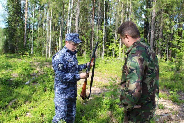 Росгвардейцы в Коми за неделю изъяли 12 единиц охотничьего оружия

