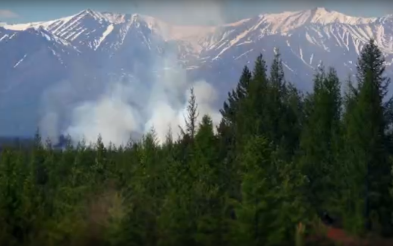 В Троицко-Печорском районе вспыхнул лесной пожар