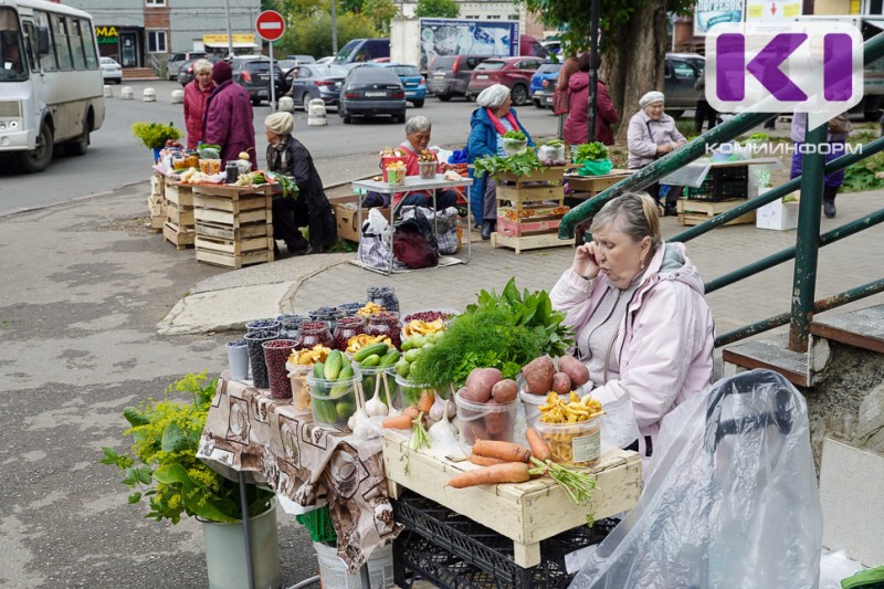 В Сыктывкаре обновят правила уличной торговли с дачных и садовых участков