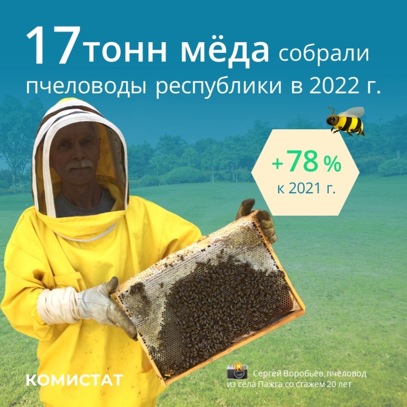 Сладкий бизнес: пчеловоды Коми собрали в минувшем сезоне почти в два раза больше меда