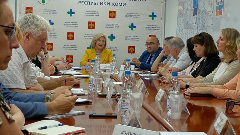 Эксперты из Санкт-Петербурга дали рекомендации по развитию педиатрической службы в Коми