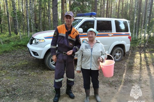 67-летняя жительница Корткеросского района потерялась в лесу и провела ночь на болоте 