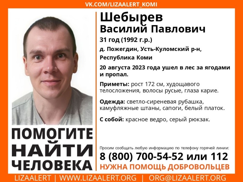 В Усть-Куломском районе в лесу пропал 31-летний мужчина