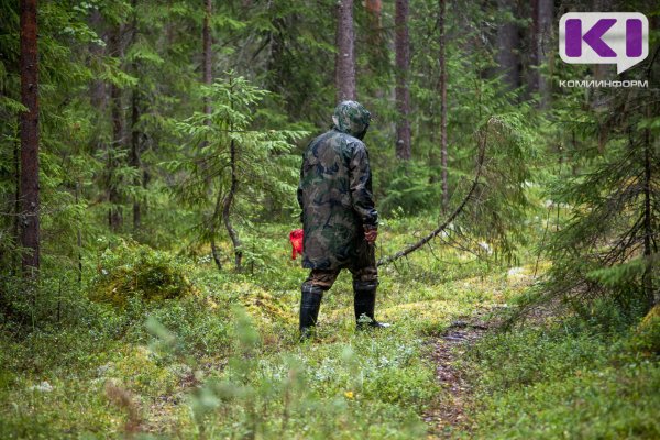 В Троицко-Печорске нашли тело пропавшего год назад мужчины 