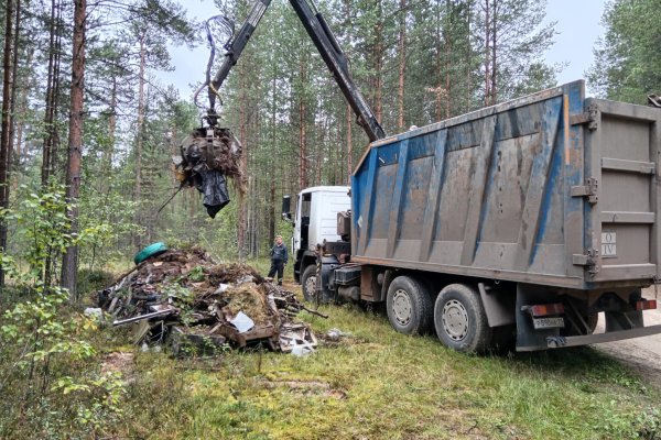 В Сыктывкарском лесничестве ликвидировали несанкционированную свалку и вывезли 15 кубометров мусора
