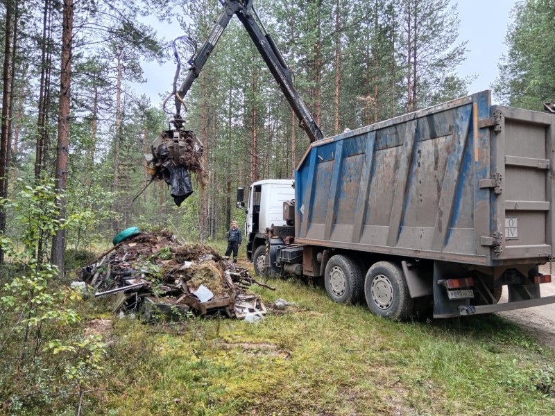 В Сыктывкарском лесничестве ликвидировали несанкционированную свалку и вывезли 15 кубометров мусора
