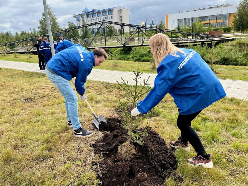 Волонтеры АО "Транснефть – Север" высадили хвойные деревья на набережной в Ухте