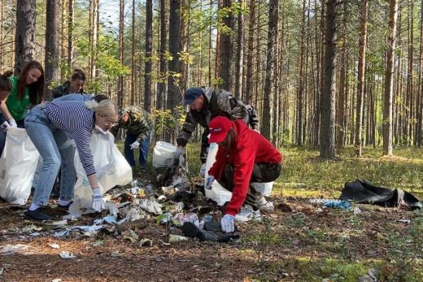 Сохраним лес: в Коми продолжается всероссийская экологическая акция
