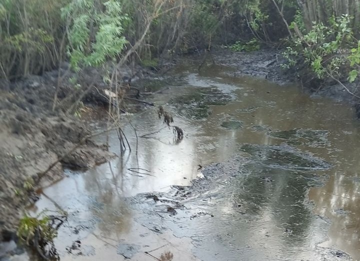 Минприроды Коми подает в суд на "Нобель-Ойл" за загрязнение реки Колвы