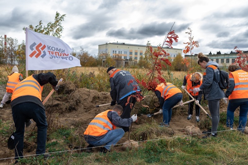 В Воркуте состоялась экологическая акция "Деревья - городам Т Плюс"