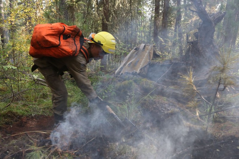 По вине местных жителей горел лес в Троицко-Печорском районе 