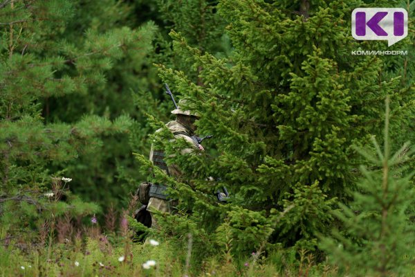 В Прилузском районе кировчане устроили смертельную охоту
