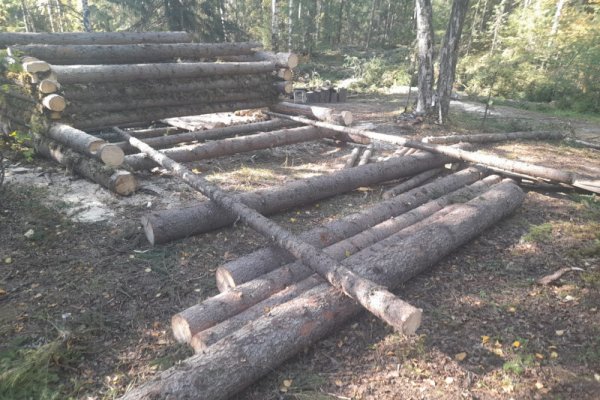 В отношении жителя Ижмы возбуждено уголовное дело за незаконную рубку деревьев в водоохраной зоне