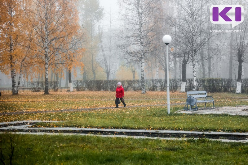 Погода в Коми 14 октября: дождь со снегом и +5°С