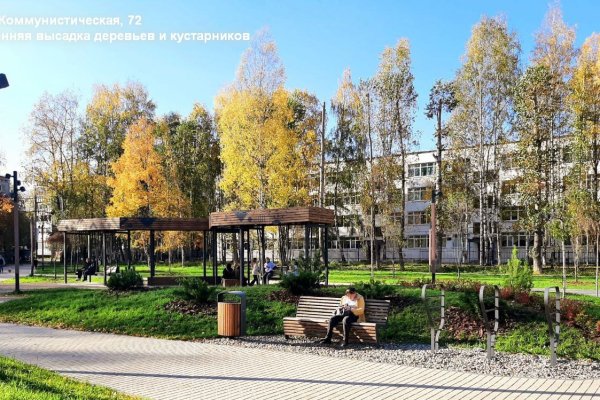 Сыктывкар – столица леса: в городе высажено более тысячи новых растений 