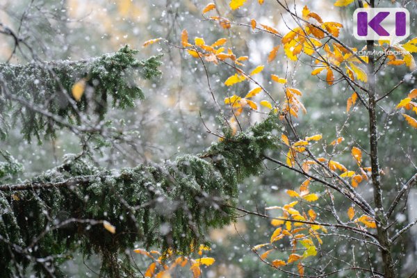 Погода в Коми 15 октября: дождь, мокрый снег, +3...+8°С
