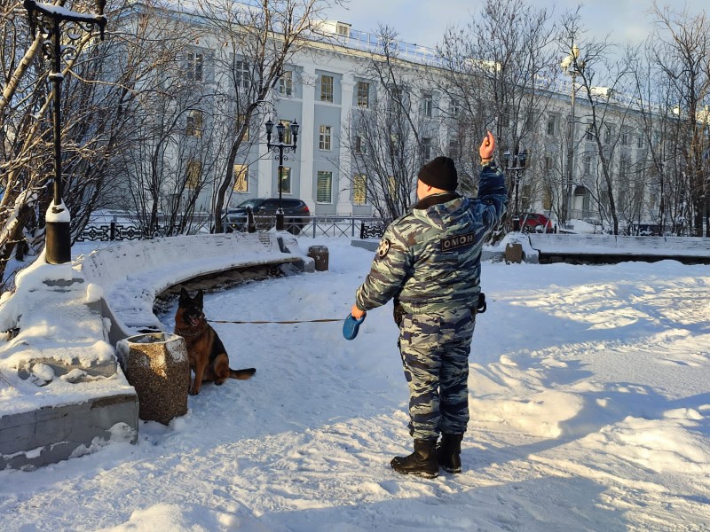 В Воркуте сотрудники ОМОН "Арктика" обследовали места проведения "Заполярных игр"