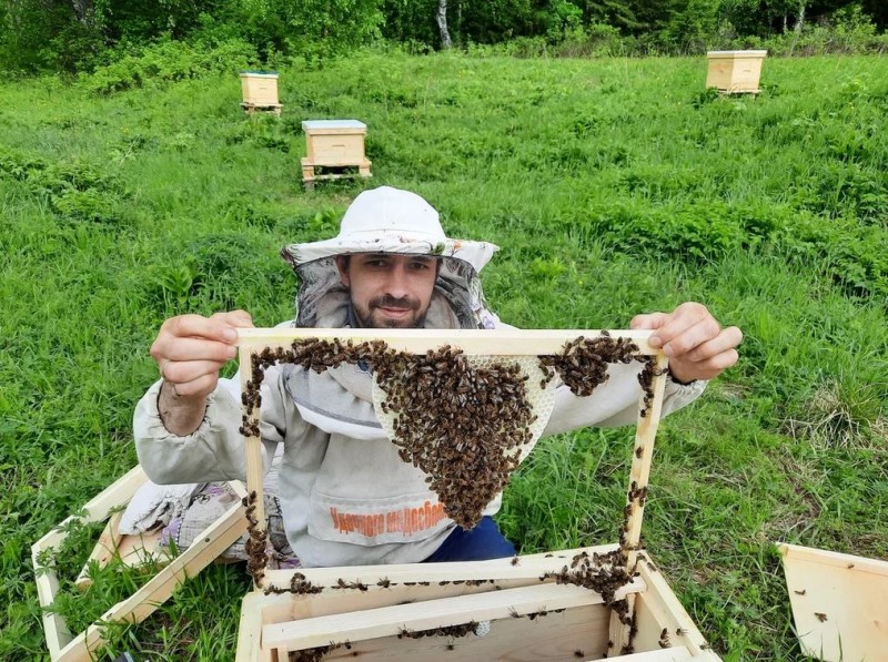 "Агростартап" помог пчеловодам из Ижмы расширить производство таежного меда

