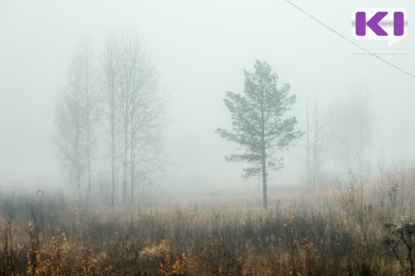 Погода в Коми 11 ноября: местами гололед, ночью и утром туман