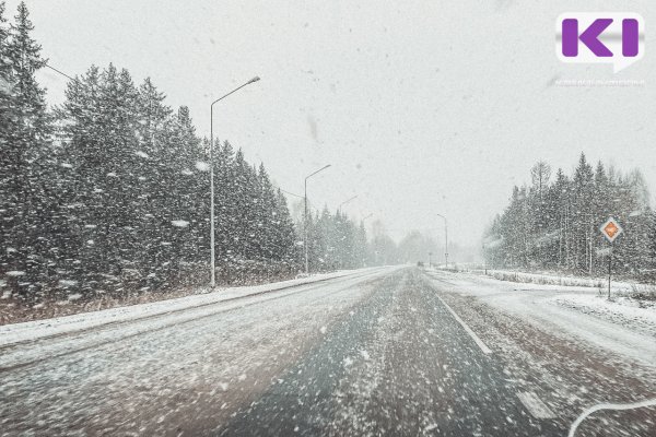 Центральные районы Коми накроет снегопад