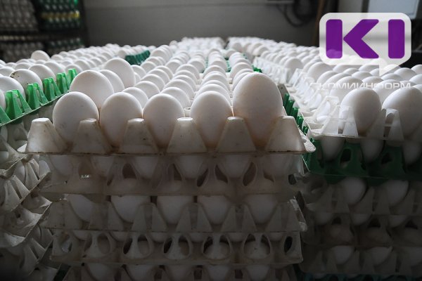 Минсельхоз: в Коми не ожидается дефицит яиц