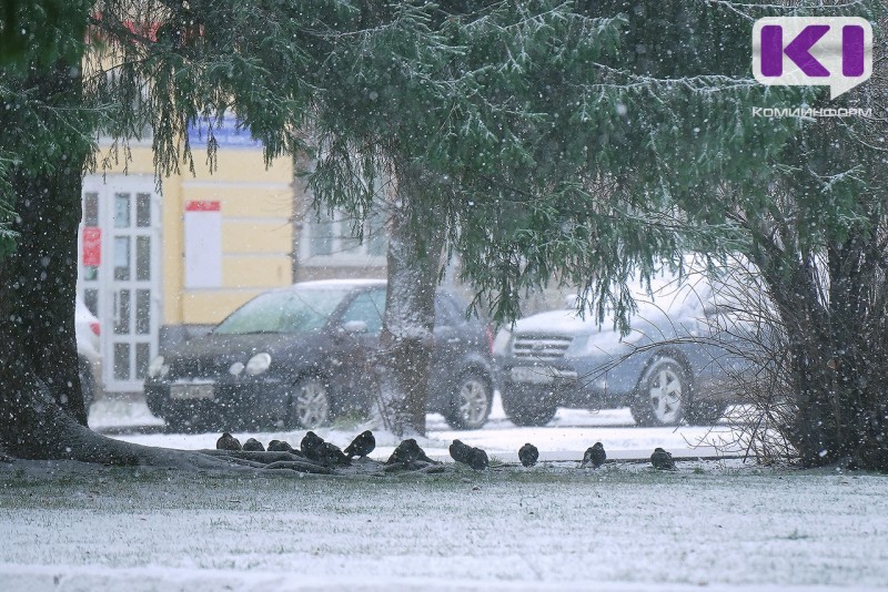 Погода в Коми 24 ноября: небольшой снег, на севере метель