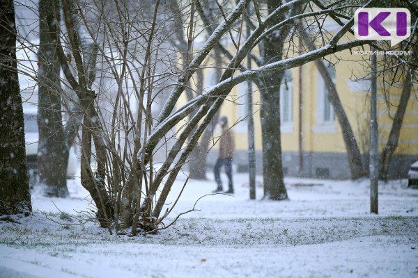 Погода в Коми 29 ноября: умеренный снег и -5°С