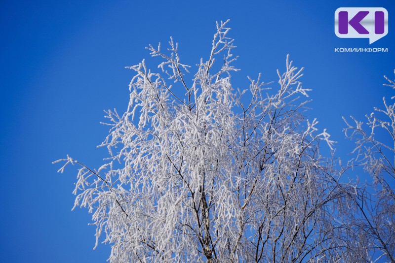 Аномально холодная погода в Коми продлится по 11 декабря