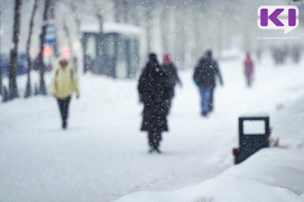Погода в Коми 14 декабря: небольшой снег и -15°С