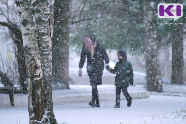 Погода в Коми 24 декабря: мокрый снег и -3°С