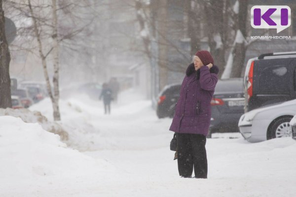Погода в Коми 29 декабря: - 15°С и северный ветер 