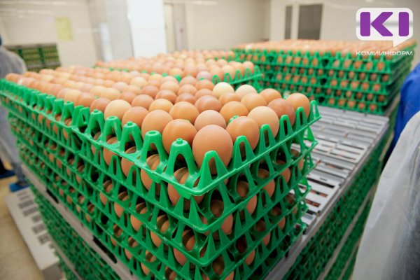 Цены на яйца в регионе пошли на спад - Минсельхоз Коми 