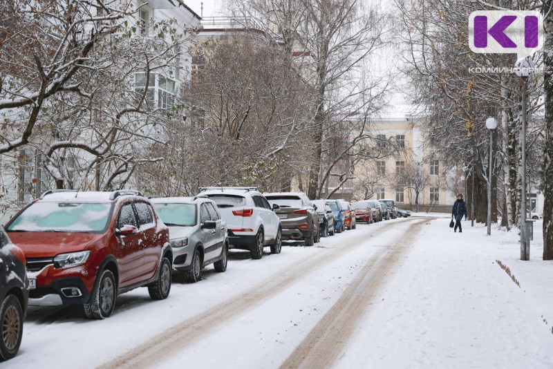 Погода в Коми 29 января: небольшой снег, в отдельных северных районах метель