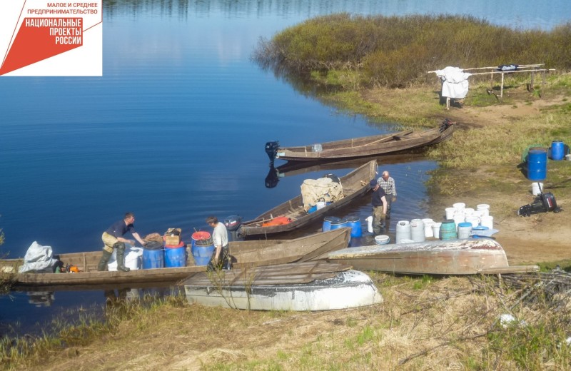 Как развивается кооператив "Рыбаки Усть-Цильмы" при поддержке властей

