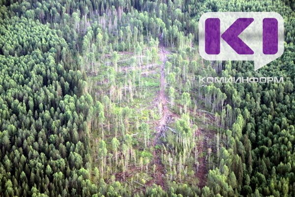 Основной причиной повреждения лесных насаждении в Коми стали пожары 