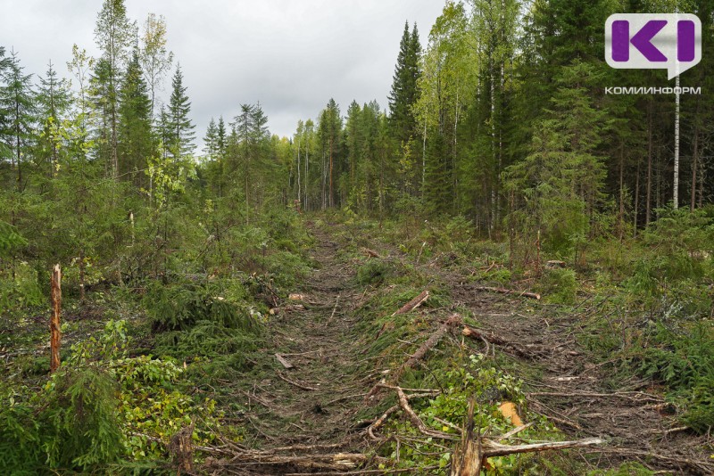 В Коми утвердили обвинительное заключение по уголовному делу о взяточничестве при предоставлении участков для рубки леса