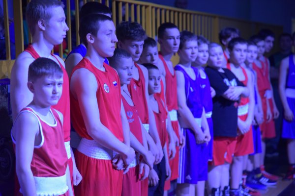 Кубок главы Республики Коми по боксу собрал около 100 участников