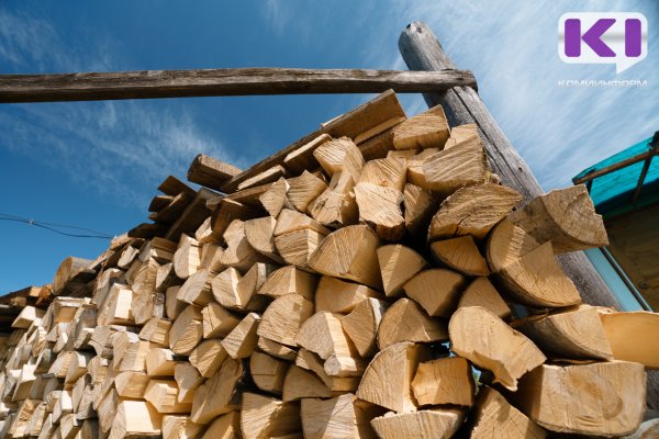 Жителям Коми расскажут о порядке отпуска древесины для заготовки дров