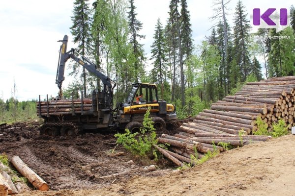 В Прилузье завершено расследование уголовного дела о гибели рабочего в лесу