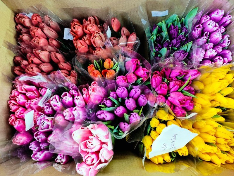 Цветочные магазины удивляют сыктывкарок подснежниками и хелеборусами - рождественскими розами 