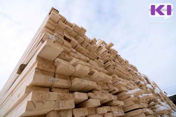 МВД Коми напоминает: нецелевое использование древесины для собственных нужд наказуемо

