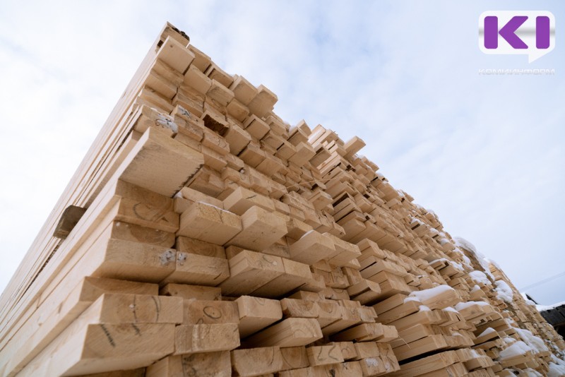 МВД Коми напоминает: нецелевое использование древесины для собственных нужд наказуемо

