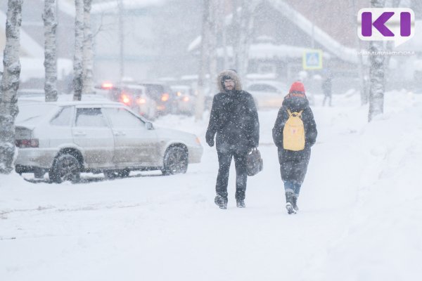 В семи районах Коми ожидаются снегопады