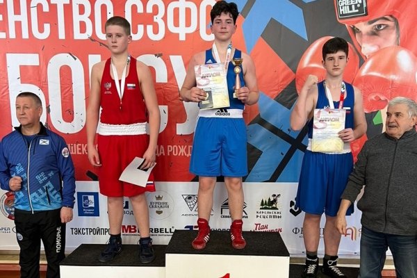 Одиннадцать медалей взяла сборная Коми на первенстве СЗФО по боксу в Петрозаводске