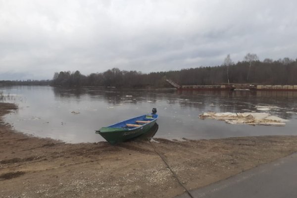 На реке Сысола у Койгородка начался ледоход 